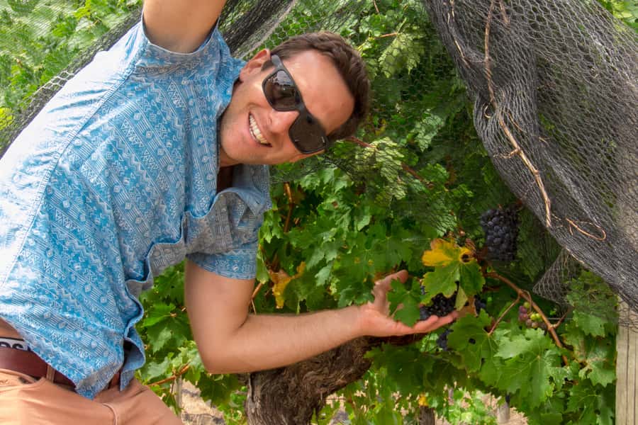 From Margaret River: Margaret River Wine Adventure - The Wine Blending Experience: hands-on fun that actually teaches