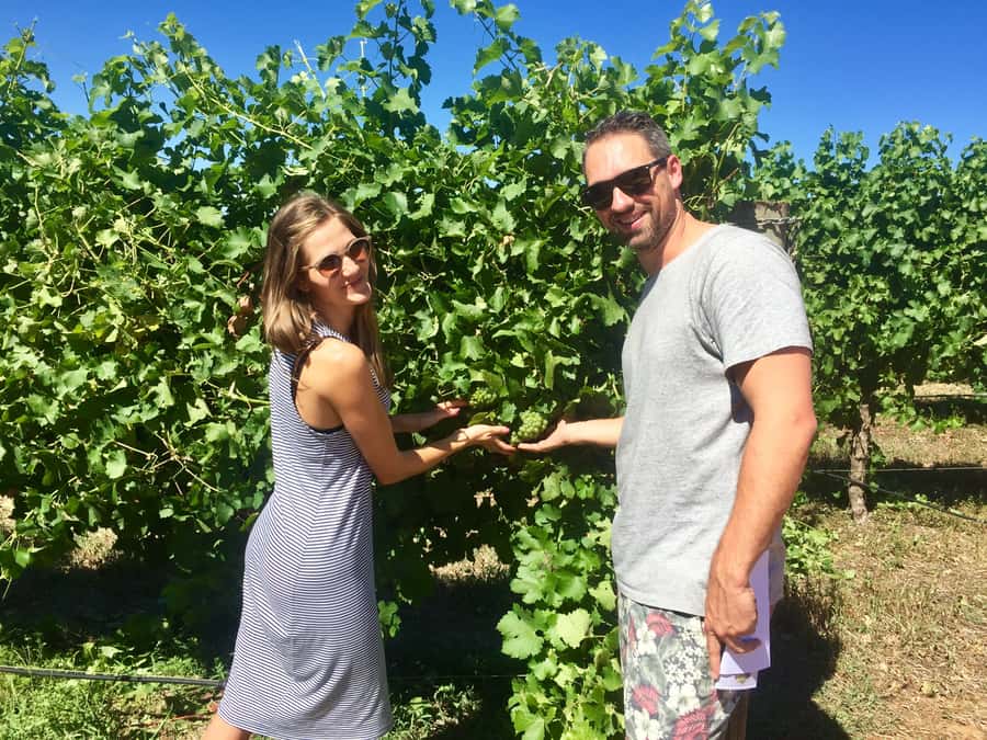 From Margaret River: Margaret River Wine Adventure - Chocolate tasting: your palate’s reset button
