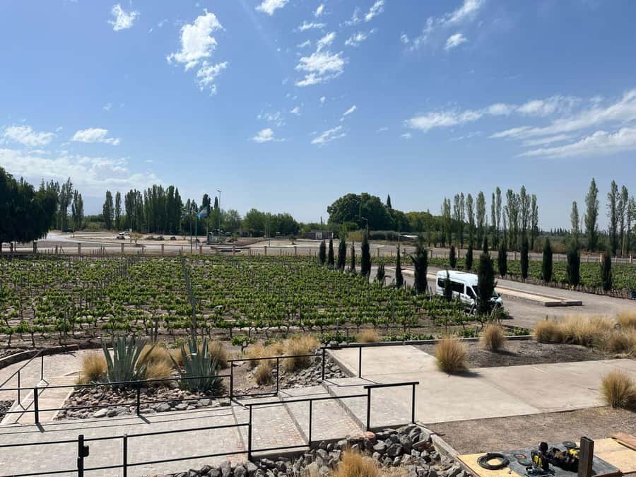 From Mendoza: 3 Wineries, Olive Oil Factory Tour & Tasting - Timing that fits: 2:00 p.m. pickup to 8:00 p.m. return