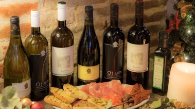 From Montecatini Terme: Wine Experience in Tuscan Farm - Lunch at a real table: cold cuts, homemade pasta, and sweet finishes