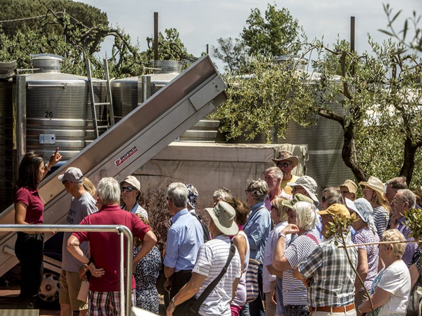 From Naples: Pompeii and Wine Tasting Tour with Lunch - Naples pickup at 8:00-ish and how to avoid stress