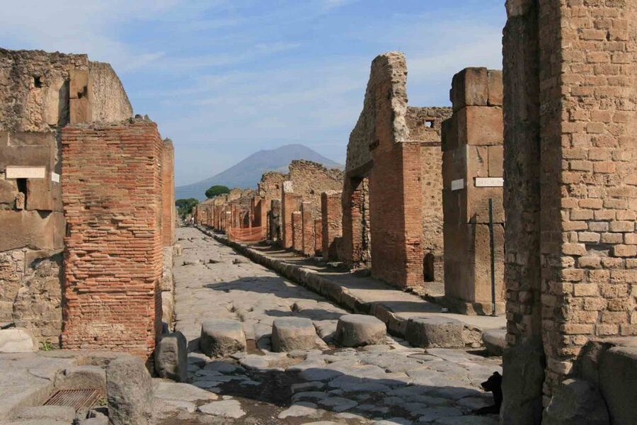 From Naples: Pompeii and Wine Tasting Tour with Lunch - How to pace your day: timing, split groups, and heat