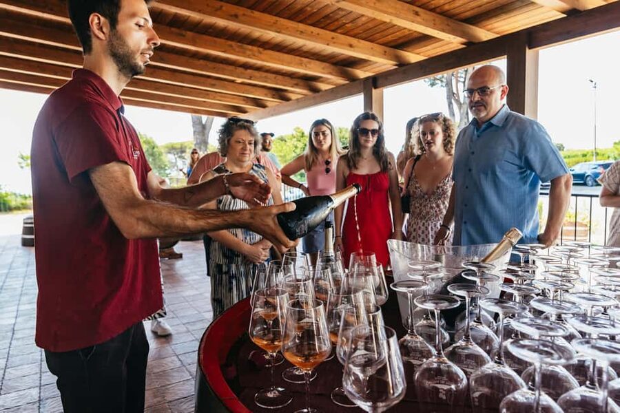 From Naples: Wine Tasting Tour on Vesuvius Slopes with Lunch - Is this tour for you? Best matches and clear no-go cases
