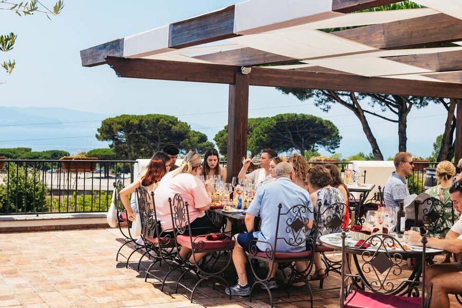 From Naples: Wine Tasting Tour on Vesuvius Slopes with Lunch - The ride up: on-board commentary that keeps the day moving
