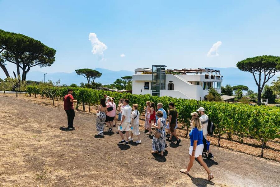 From Naples: Wine Tasting Tour on Vesuvius Slopes with Lunch - Mt. Vesuvius vineyard tour: volcanic farming, explained without drama