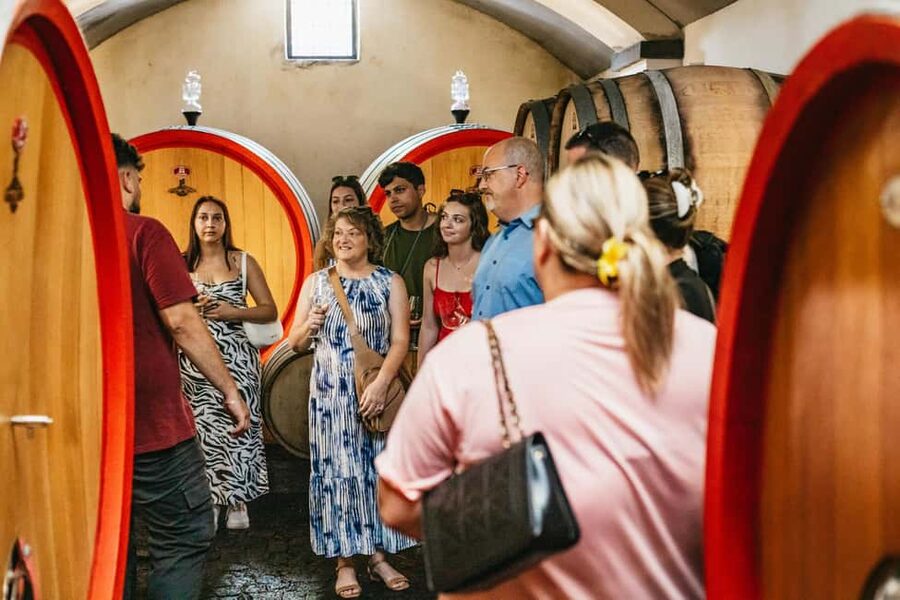 From Naples: Wine Tasting Tour on Vesuvius Slopes with Lunch - What you taste on this Vesuvius tasting: Falanghina, Lacryma Christi, Aglianico