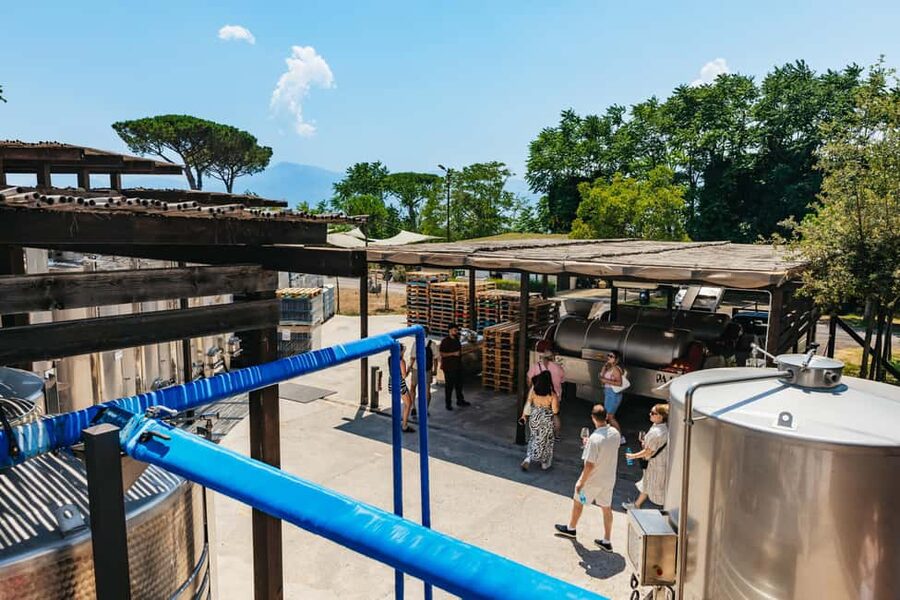 From Naples: Wine Tasting Tour on Vesuvius Slopes with Lunch - Lunch on the terrace: Mediterranean food that doesn’t feel like filler