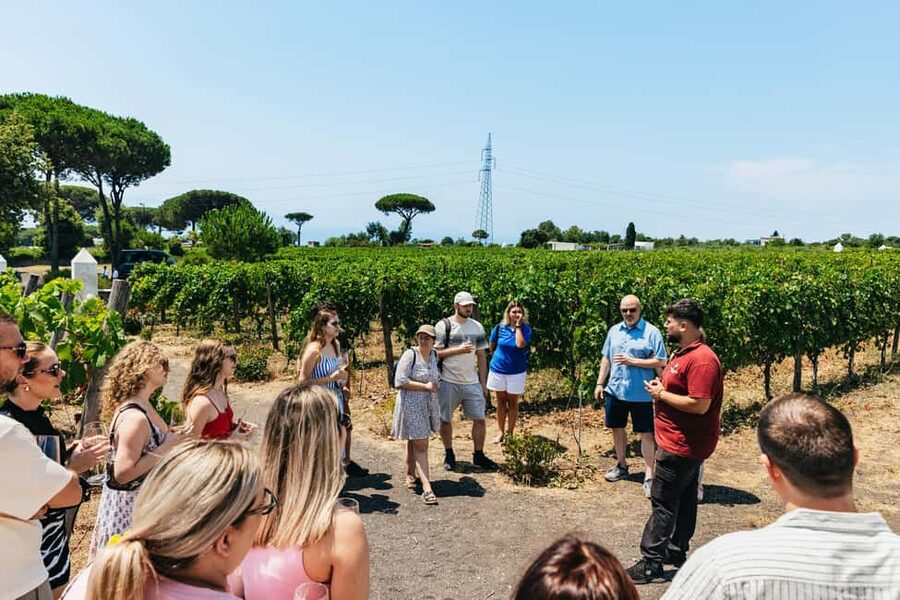 From Naples: Wine Tasting Tour on Vesuvius Slopes with Lunch - How long you’ll stay at each part (and why the pacing works)