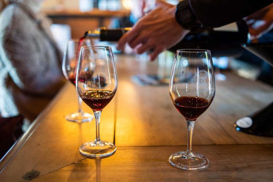 From Nice: Cannes, Saint Paul de Vence and Wine Tasting - Key highlights you should care about