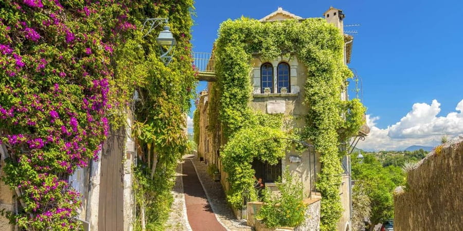 From Nice: Cannes, Saint Paul de Vence and Wine Tasting - Antibes: market energy, old-town walls, and a harbor full of status boats