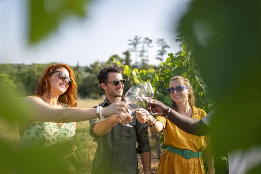 From Nice: Provence Wine Full-Day Tour - Who this tour fits best