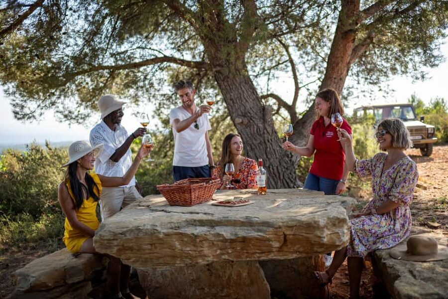 From Nice: Provence Wine Full-Day Tour - The big idea: why Côtes de Provence feels different