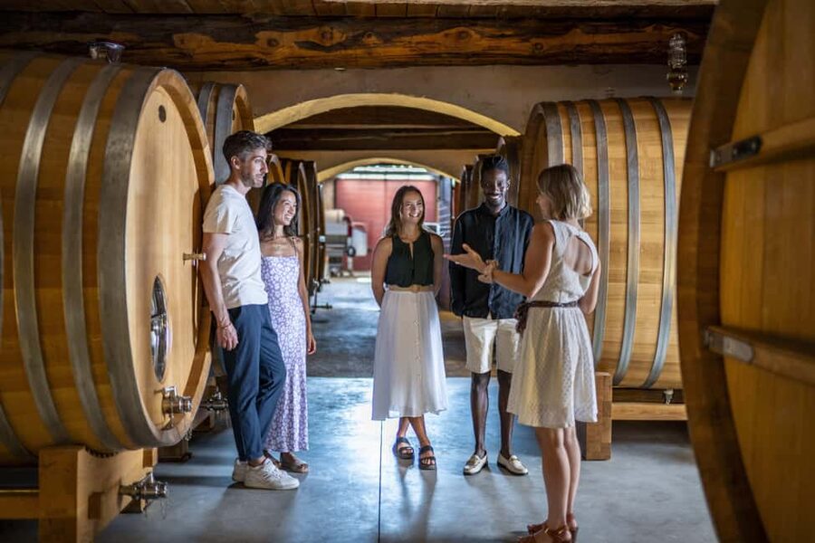 From Nice: Provence Wine Full-Day Tour - Stop one: a Cru Classé château with cellar access and tasting technique