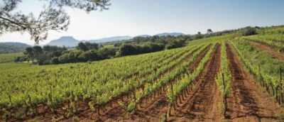 From Nice: Provence Wine Full-Day Tour - From Nice, the comfort factor matters
