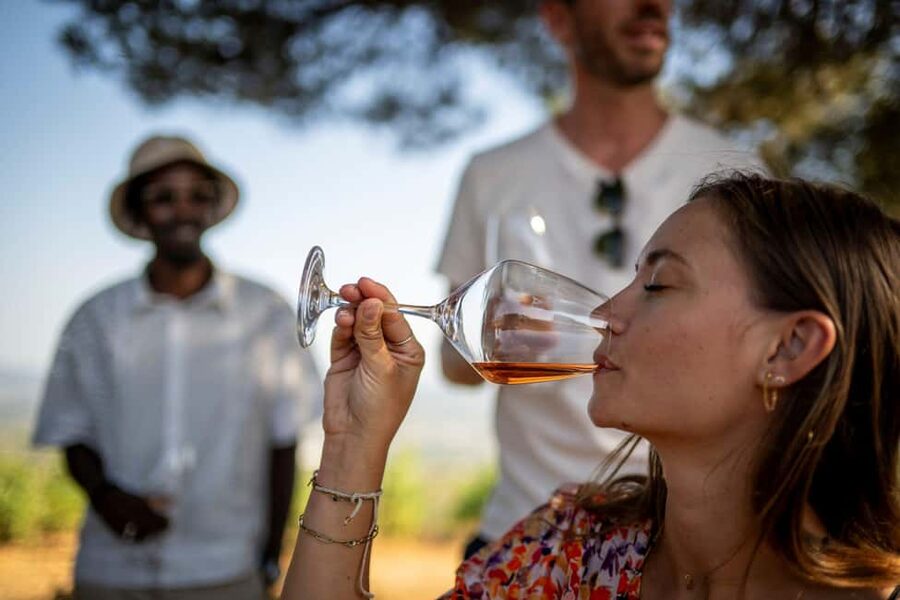 From Nice: Provence Wine Full-Day Tour - Stop two: four generations, vine life-cycle lessons, and terrace practice