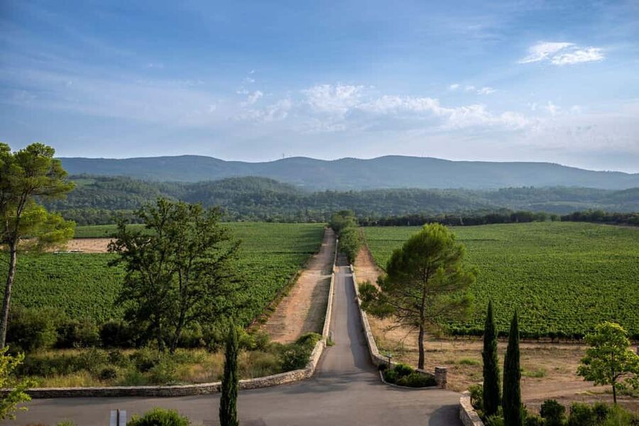 From Nice: Provence Wine Full-Day Tour - Stop three: organic, award-winning wines, and a cellar you’ll remember