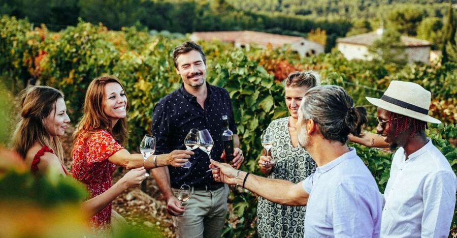 From Nice: Provence Wine Full-Day Tour - Guides set the tone: what you should look for on the day