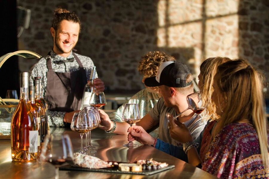 From Nice: Provence Wine Full-Day Tour - Price and value: what $211 buys you in Provence