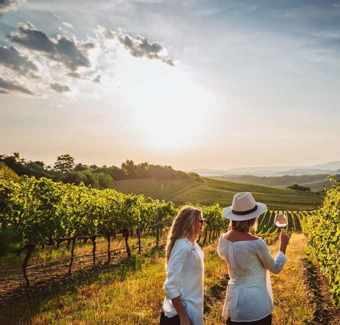 From Palma de Mallorca: Private Wine and Local Flavors Tour - From Palma to the Binissalem Hills: Why the Ride Matters