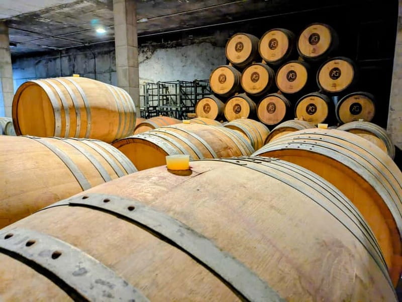 From Palma de Mallorca: Private Wine and Local Flavors Tour - The Tasting Experience: Four Wines Paired with Olive Oil Crackers and Jam