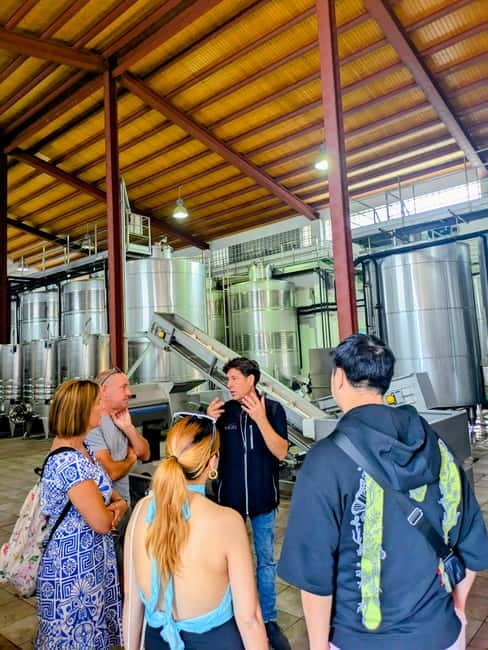 From Palma de Mallorca: Private Wine and Local Flavors Tour - Paella Add-On (Weekdays Only): When You Should Plan Ahead