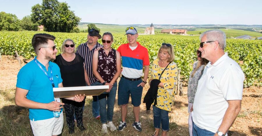 From Paris: Burgundy Region Winery Tour with Tastings - Key Highlights at a Glance