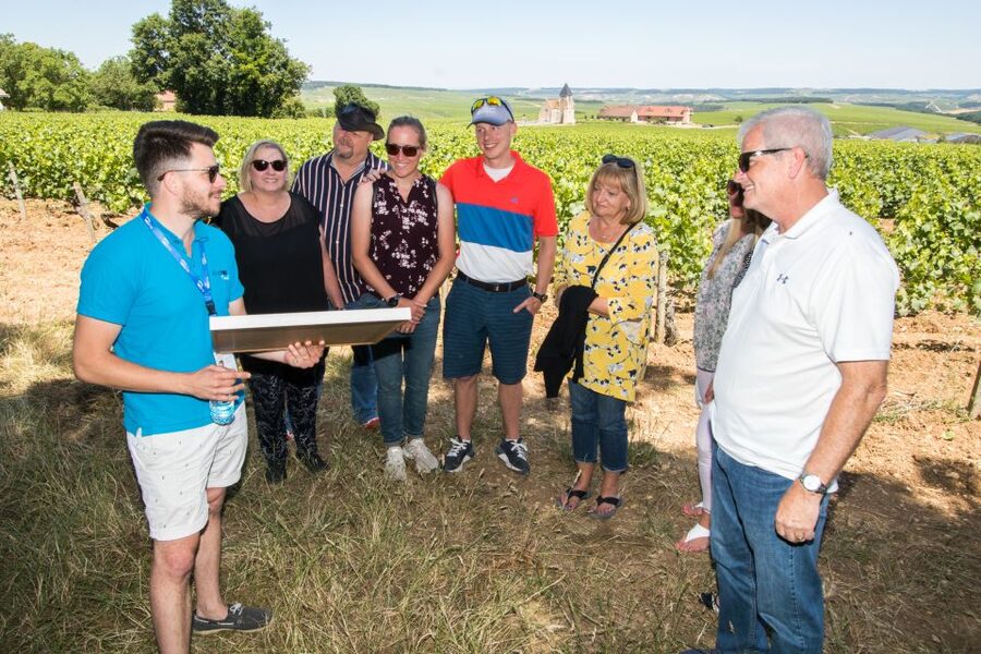 From Paris: Burgundy Region Winery Tour with Tastings - From Paris to Chablis: How the Drive Sets Up Your Tasting