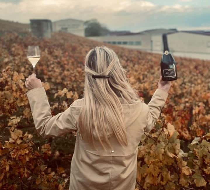 From Paris: Champagne Day Trip with 7 Tastings and Lunch - Price and Value: Is $293 Worth a Full Day Like This?