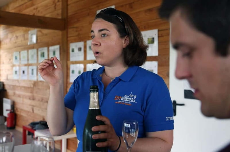 From Paris: Champagne Day Trip with 7 Tastings and Lunch - The Late-Day Contrast: Family-Owned Vineyard Estate With Guided Tastings