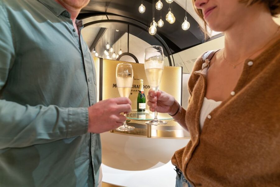 From Paris: Day Trip to Champagne with 8 Tastings & Lunch - Second producer visit: seeing how Champagne changes at smaller scale