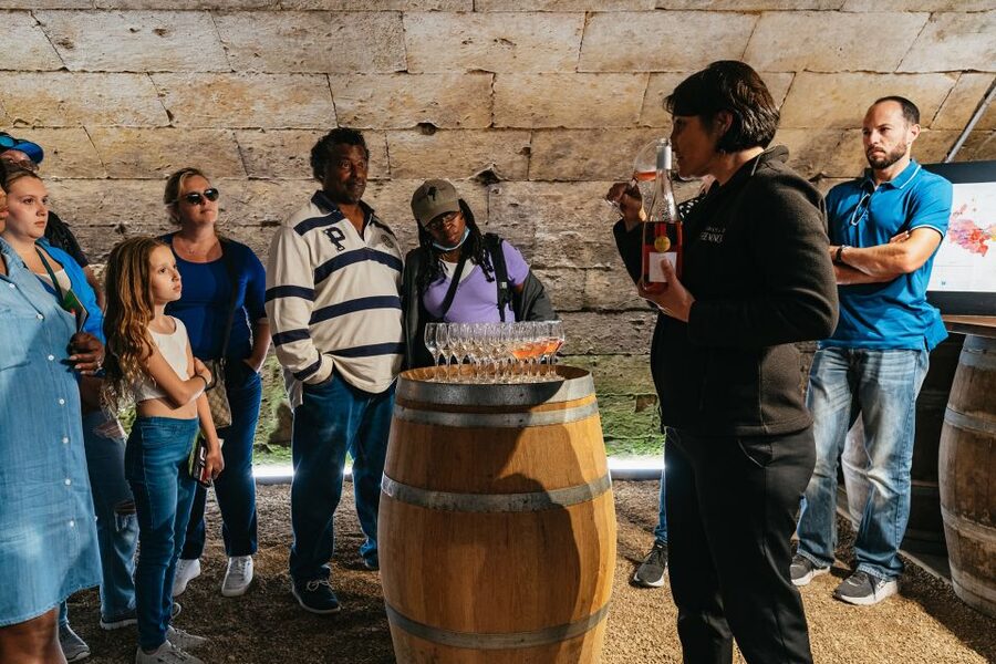 From Paris: Loire Valley Castles Day Trip With Wine Tasting - From Catacombs to Castles: How the Day Flows
