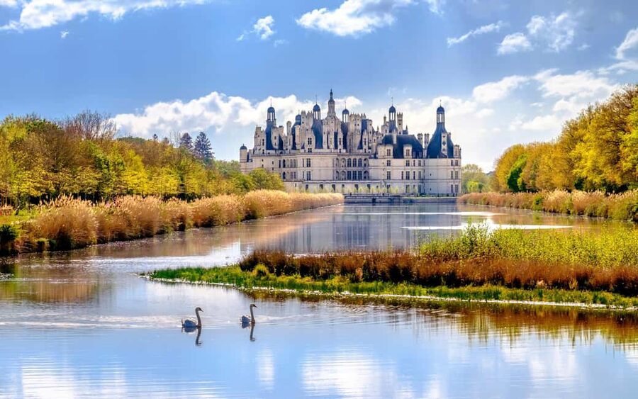 From Paris: Loire Valley Castles Day Trip With Wine Tasting - Blois Lunch Stop: A Real Town Reset in Square Louis XII