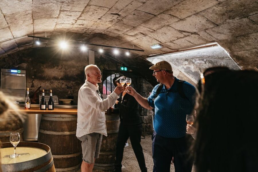 From Paris: Loire Valley Castles Day Trip With Wine Tasting - Château de Chenonceau: The River-Spanning “Ladies’ Castle”