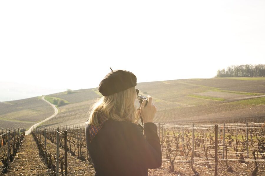 From Paris: Reims and Champagne Tasting Full-Day Tour - Blind tastings in the vineyards: training your palate fast