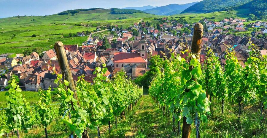 From Paris: Small-Group Champagne Day Trip with Six Tastings - Hautvillers Abbey and Dom Pérignon: the grounded start before the bubbles