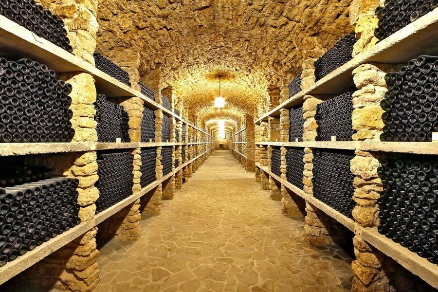From Paris: Small-Group Champagne Day Trip with Six Tastings - A local family winery stop: why the smallest place can taste the biggest