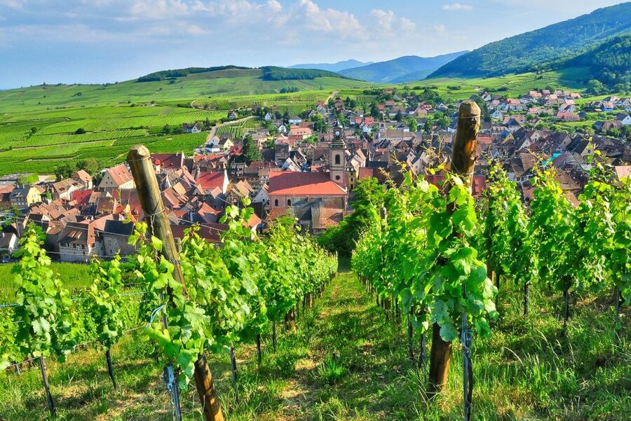 From Paris: Small-Group Champagne Day Trip with Six Tastings - Epernay lunch break: plan to top up, not to binge