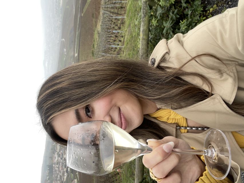 From Paris: Small-Group Champagne Tour with 3-Course Lunch - Lunch in the region: 3 courses, wine logic, and the alcohol math