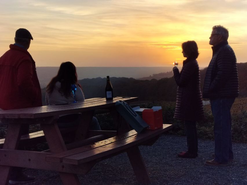 From Paris: Small-Group Champagne Tour with 3-Course Lunch - Blind tasting in the vineyard area: training your nose and brain