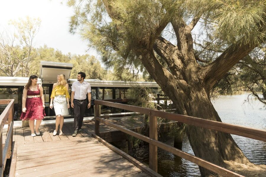 From Perth: Swan Valley Cruise, Winery, Cheese & Lunch - Should you book the Swan Valley Cruise, Winery, Cheese & Lunch?