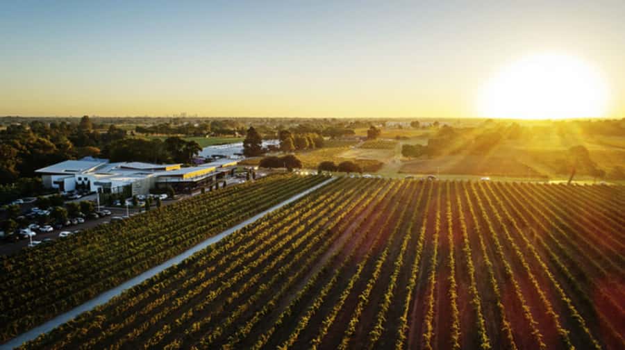 From Perth: Swan Valley Cruise, Winery, Cheese & Lunch - Meeting at Pier 3 and the rhythm of an all-day cruise