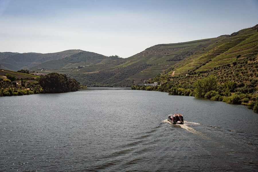 From Pinhão: Douro Valley Rabelo Boat Tour with Port Wine - Price and what you actually get for the money