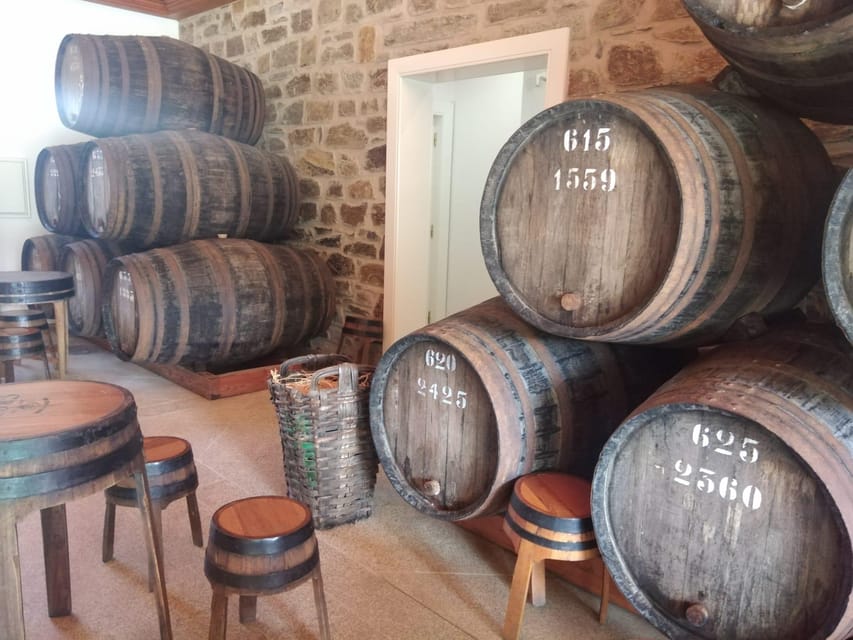 From Pinhão: Douro Valley Tour w/ Wine Tasting and Boat Trip - The 15-Minute Viewpoint Stop: A Quick Photo Break That Helps You Understand the Valley