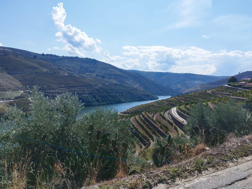 From Pinhão: Douro Valley Tour w/ Wine Tasting and Boat Trip - Cost and Value: Is $64 Worth It?