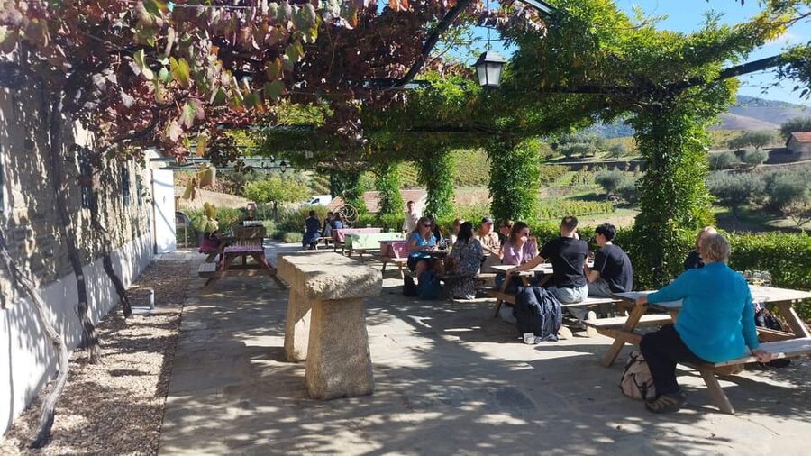 From Pinhão: Douro Valley Tour w/ Wine Tasting and Boat Trip - Small-Group Comfort: Language Options and the Feel of the Day