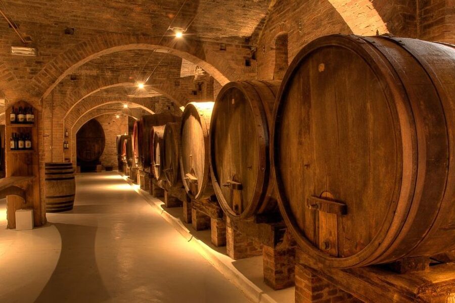 From Pisa or Lucca: Half-Day Tuscany Chianti Wine Tasting - The best part: meeting the winery owner and learning organic methods