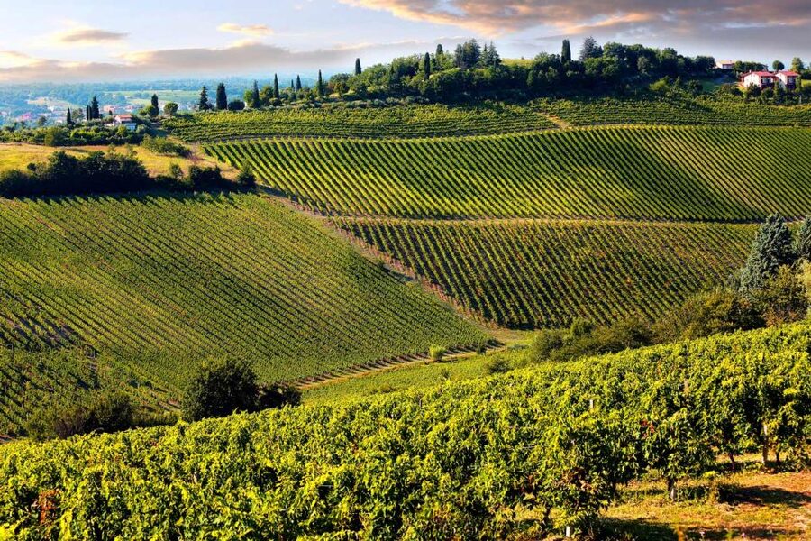 From Pisa or Lucca: Half-Day Tuscany Chianti Wine Tasting - Buying bottles to take home (and shipping options)