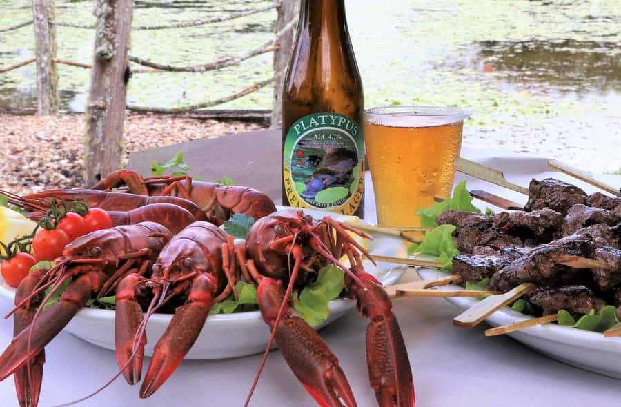 From Port Douglas: Atherton Tablelands Adventure - The Platypus Hut at Sweetwater Lodge: the calm ending with craft beer and wine
