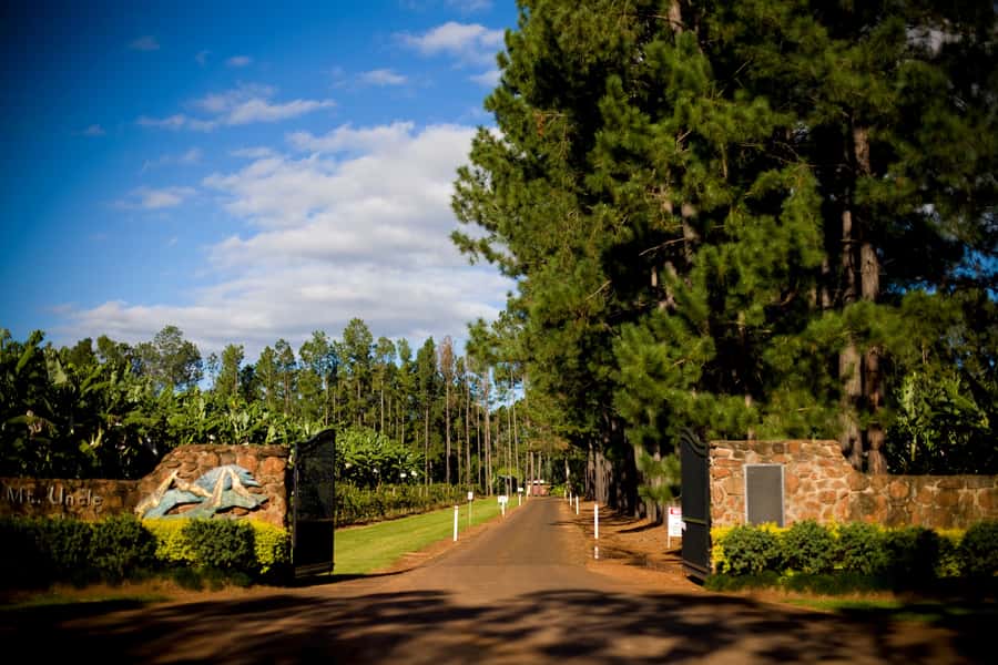 From Port Douglas: Atherton Tablelands Adventure - Mt Uncle Distillery: award-winning spirits and rainforest botanicals