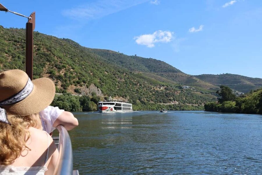 From Porto: 2 Boutique Wineries w/ Winery Lunch & 1-h cruise - Should you book this Porto-to-Douro day trip?